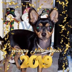 Meet your Posher, Darla